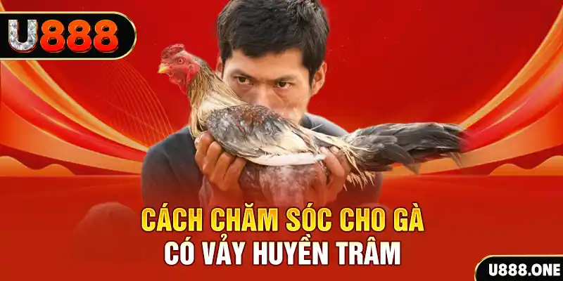 xo so66 casino SÒNG BẠC